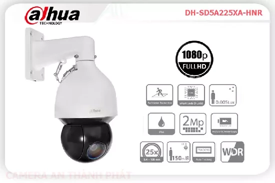 Lắp đặt camera tân phú Camera DH-SD5A225XA-HNR Dahua