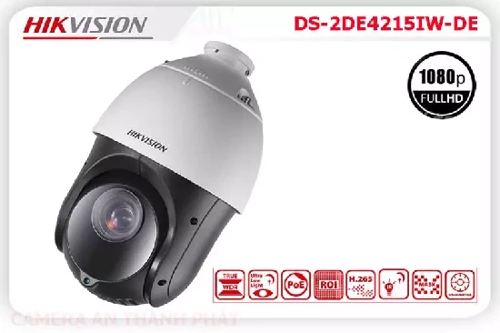 Lắp đặt camera tân phú Camera Hikvision DS-2DE4215IW-DE