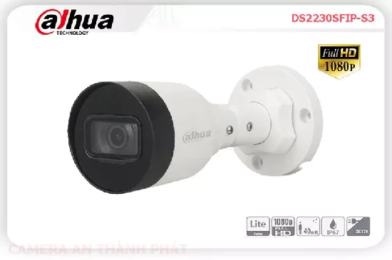 Lắp đặt camera tân phú DAHUA DS2230SFIP-S3